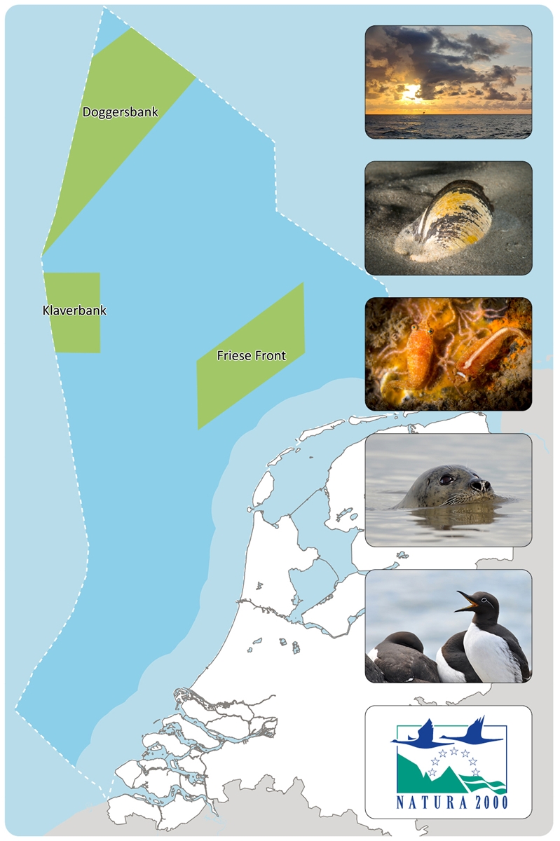 Overzichtskaart van de gebieden Doggerbank, Klaverbank en Friese Front.